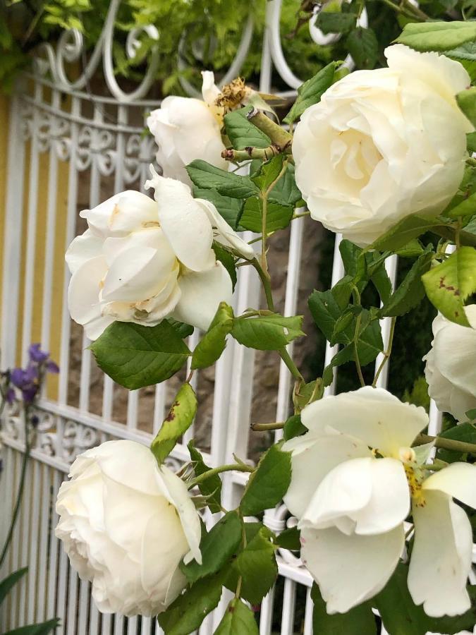 הוילה Ventabren L'Ile Aux Fleurs מראה חיצוני תמונה